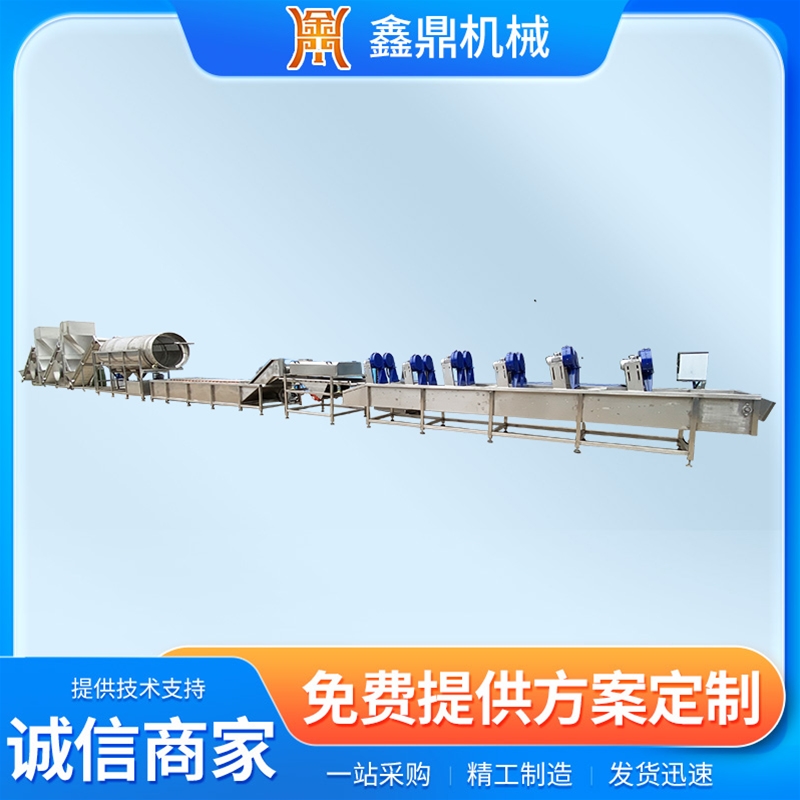 速冻毛豆加工成套设备